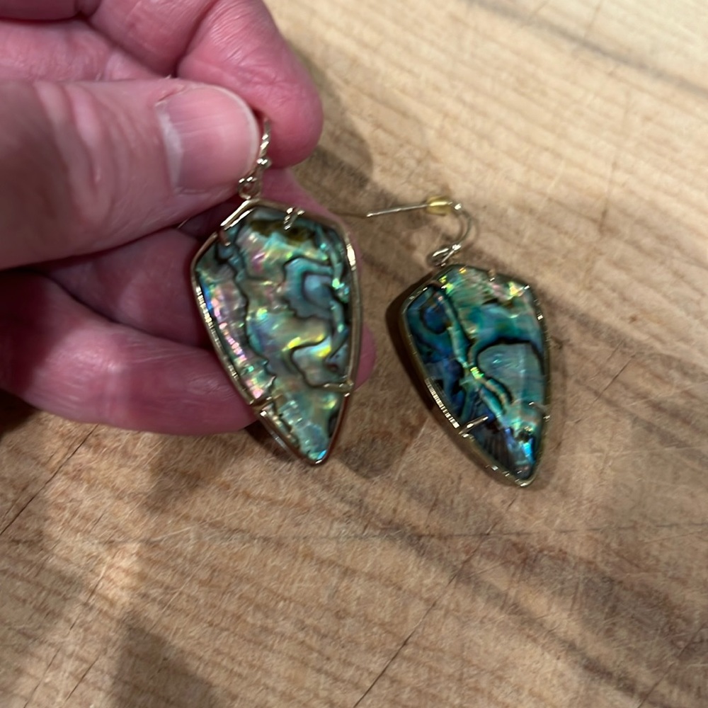 Gorgeous Abalone Earrings